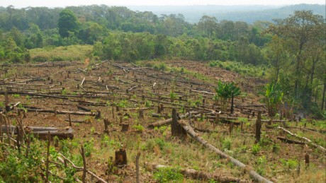 cambodia-deforestation-460x259